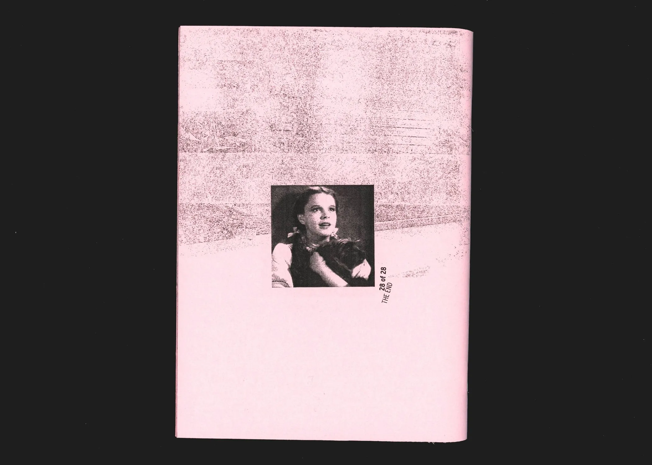 The back cover: a single still on a textured field