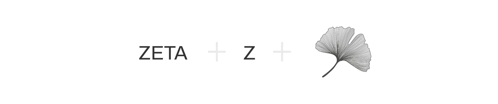 The isotype's construction: the name, the Z and the ginkgo leaf