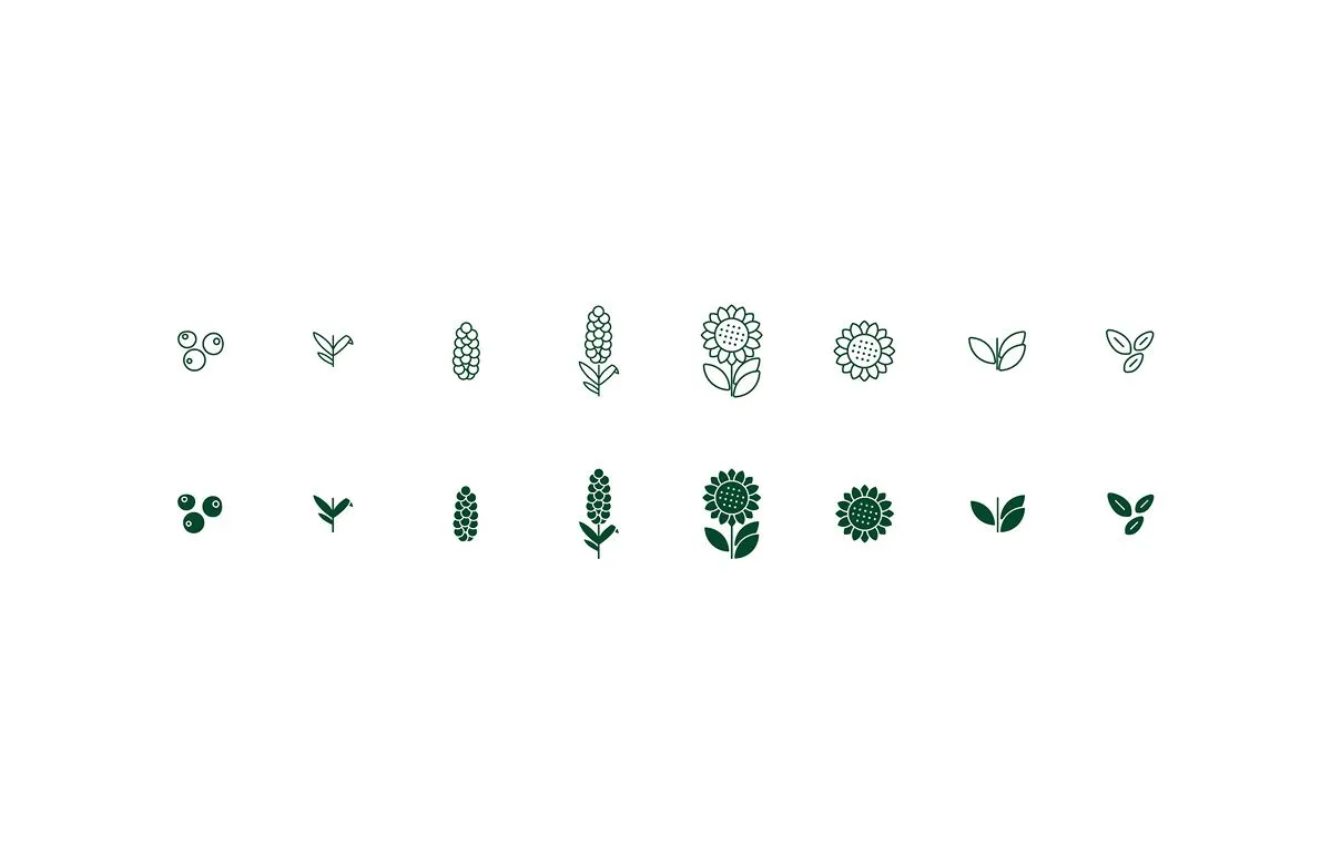 Icon set of seeds and sprouts, in outline and solid