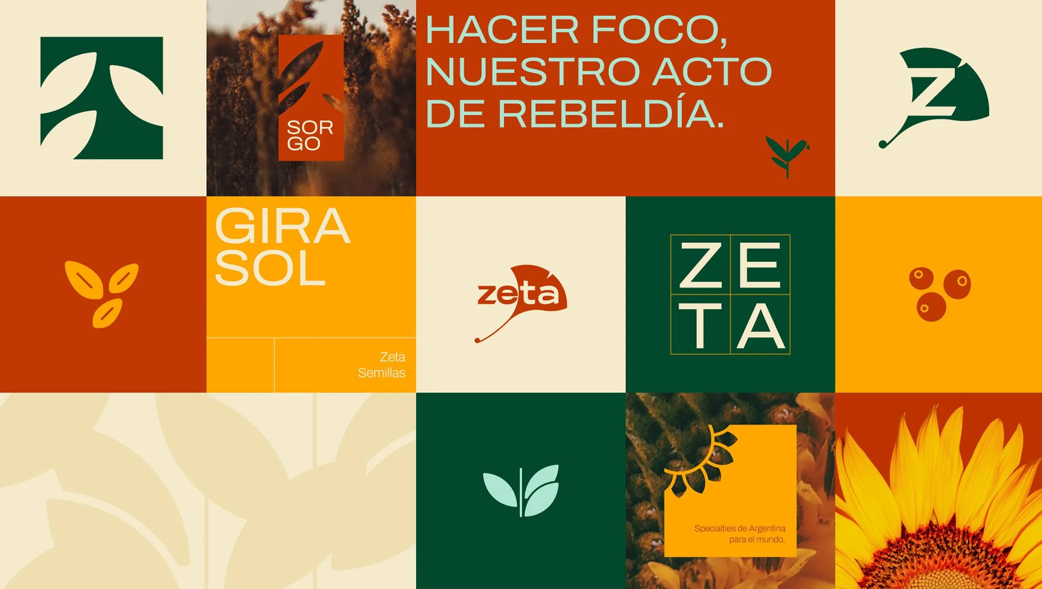 Brand board: statements, photographs and graphic elements