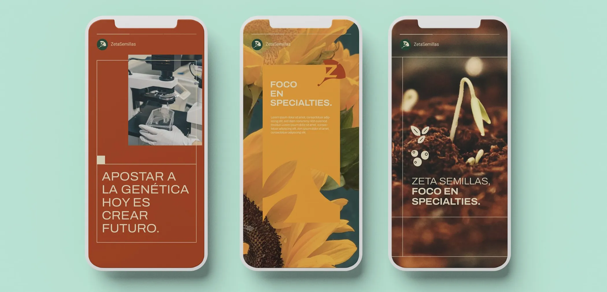 Three phones showing the brand's social posts