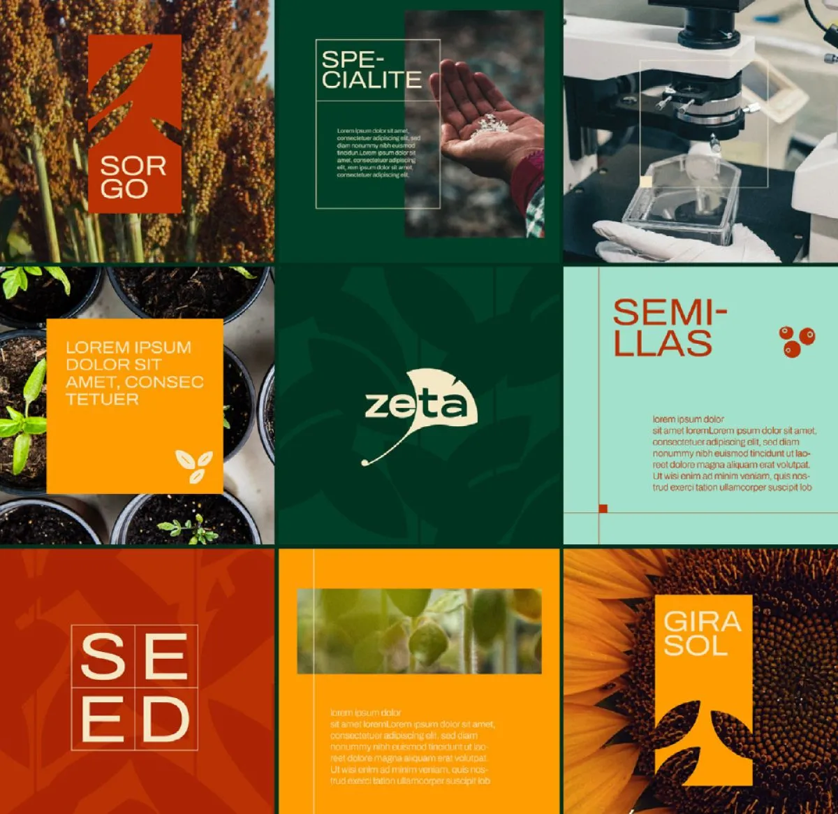 Social media grid: crops, laboratory and product panels